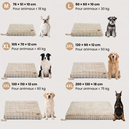 Fluffin CloudNest® – Zachte en wasbare orthopedische matras voor honden